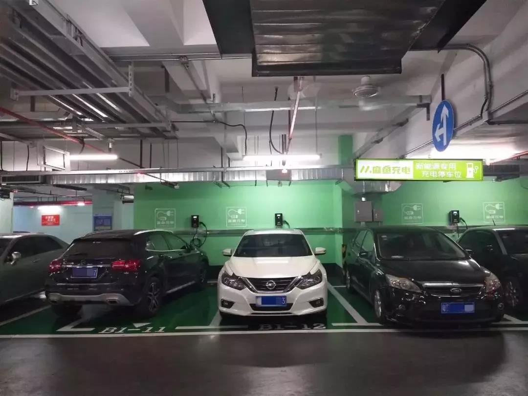 1643162531545019.jpg 3.jpg